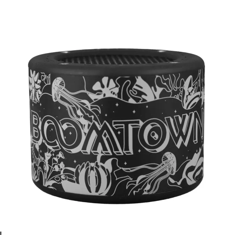 Minirig 4 x Boomtown 