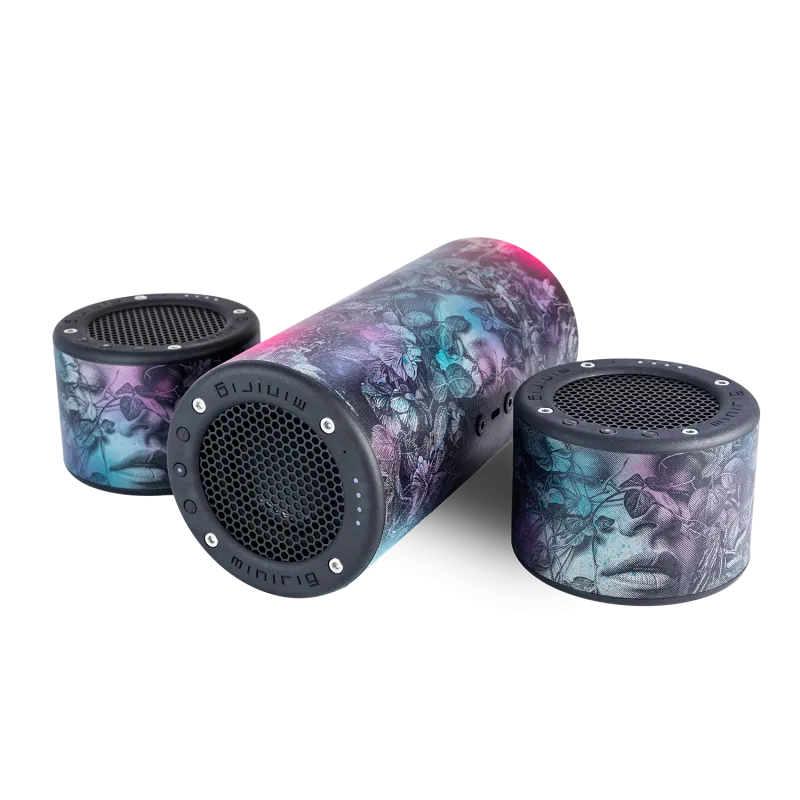 Snik Minirig Subwoofer