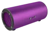 Minirig Sub 4 Purple